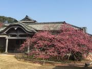 ���b�V�[����̓瓇�w���Ղ̓��e�ʐ^1