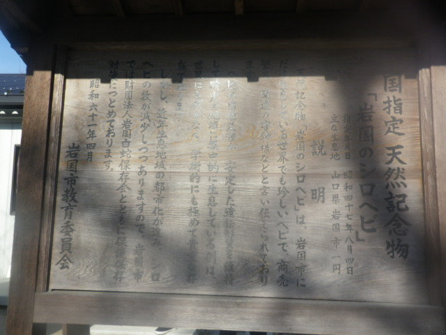 �{�ݓ����_���Ái�V�_�j���֎�����