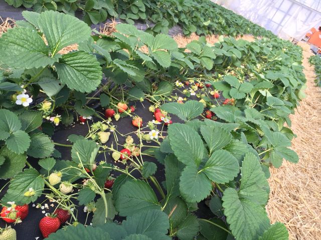 ����������������_����ό��_��