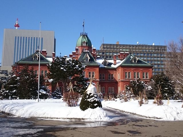 �y���ቻ�ς�����������_�k�C�������{����(�Ԃ�񂪒���)