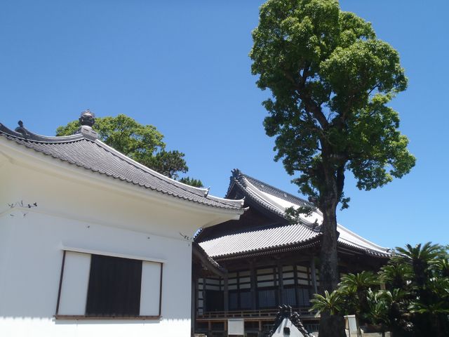 ft����̋������̓��e�ʐ^1