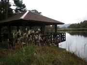 tomsañLvRe[W tHX^L̓eʐ^1