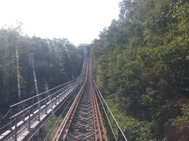 �����w���o��ƁA�����R���w!
by�@���[�肷�J�[_������R���[�v�E�F�C