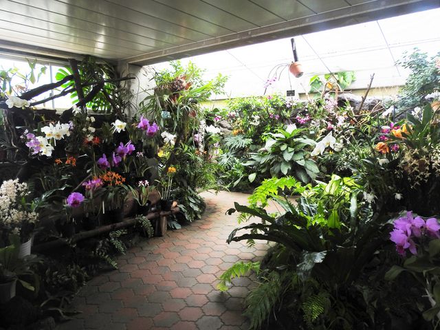 т_Ƃ~[WAi΂ƉԂƒ̔فj