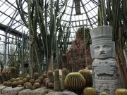 zin����̂Ƃ���~���[�W�A���i�΂ƉԂƒ����̔����فj�̓��e�ʐ^1