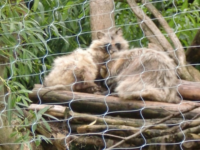 �~�R������