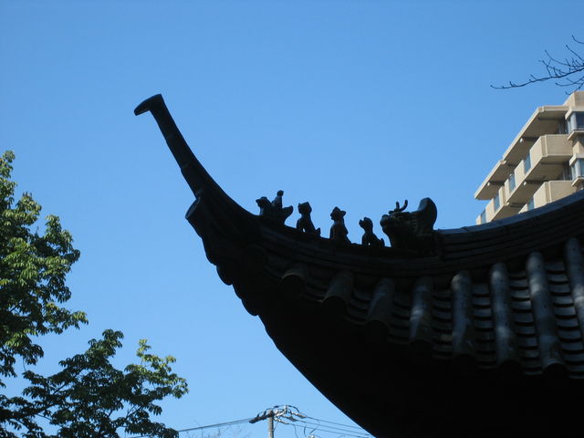 ؂ۂ̉ɂ铮̏肪ʔ_򕌌