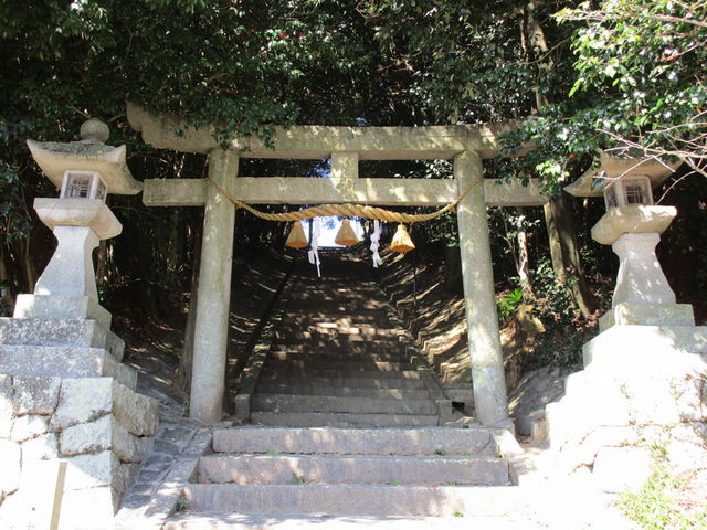 ҂̔nؔ_Ђ̎Бp̓eʐ^1