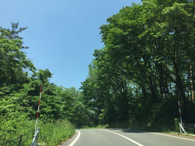 �O�r�R�[�R�[�X