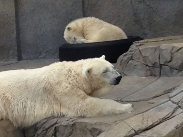 �~�R������