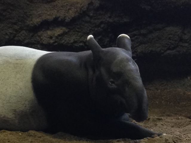 �~�R������