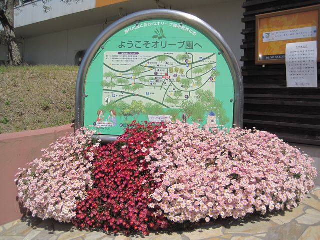 �I���[�u��