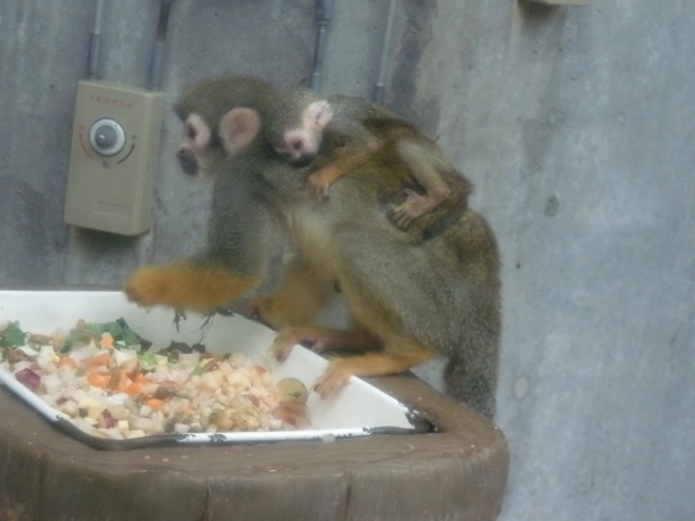 �~�R������