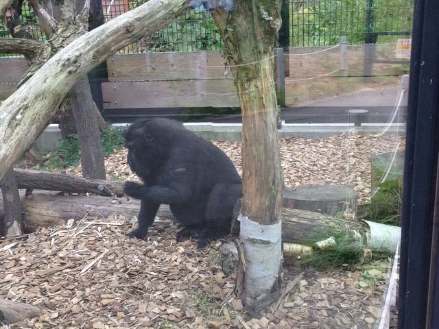 �~�R������