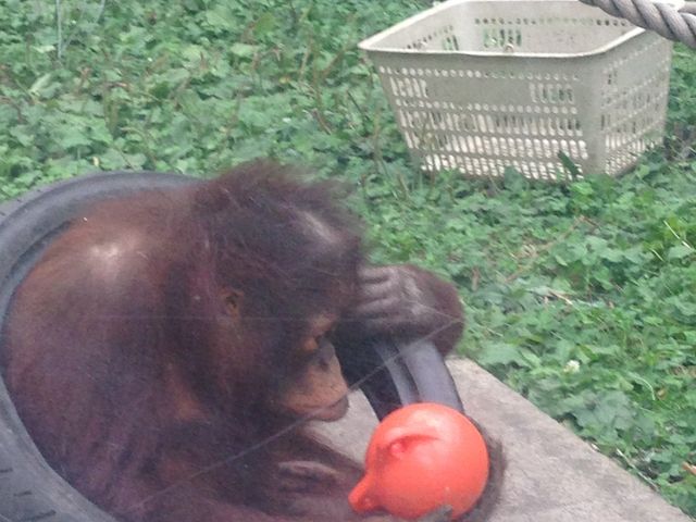 �~�R������