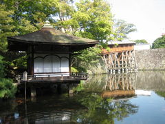 �g�t�k�뉀�̎ʐ^2