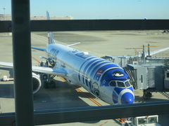 �H�c��`�i�������ۋ�`�j�̎ʐ^1