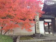 ݁[񂳂̏Vixj̓eʐ^1