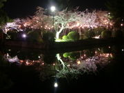 ݂[Q̋،̍E̓eʐ^1