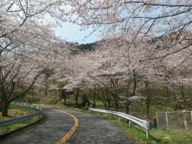 ��������̖�C�R�̍��̓��e�ʐ^2