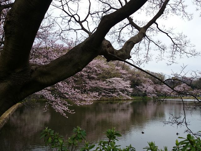 ���̒r_�O�c�r�����̍�