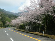 ��������̖�C�R�̍��̓��e�ʐ^1