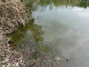 Ђ낳̌₵̐X̓eʐ^3