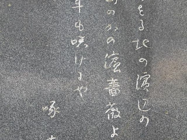 �̔�̑�؂̉́q��������k�̕l�ӂ́^���R�̂��̕l�K�N�i�͂܂Ȃ��j��^���N���炯���r_�ΐ��؂̉̔�