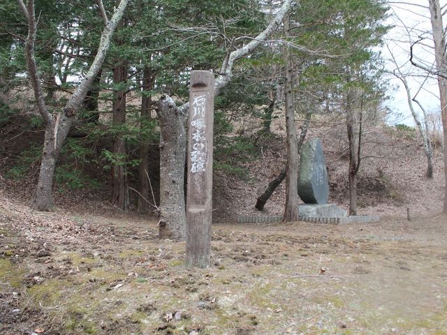 �������Ƃ���ɂ����؂̉̔�_�ΐ��؂̉̔�