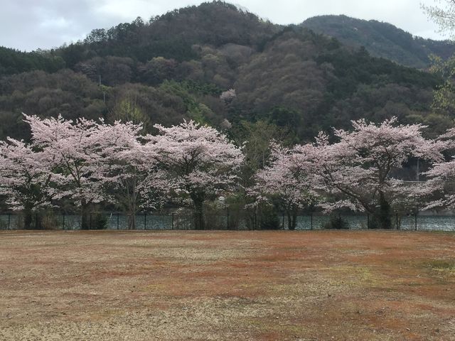 ������_���]����