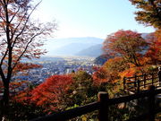 ���ǁ[����̋T�R�����̓��e�ʐ^1