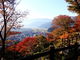 しどーさんの亀山公園（福井県大野市）の投稿写真1