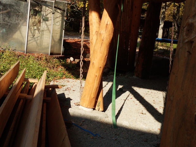 ���̔����ȃo�����X�I_�J�i�f�B�A���t�@�[��