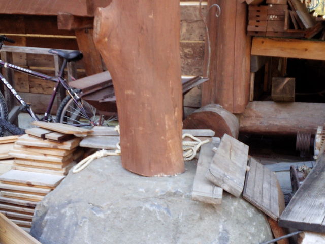 �Έ�̊�b�I�������I_�J�i�f�B�A���t�@�[��