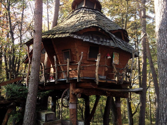 `񂳂̃JifBAt@[̓eʐ^17