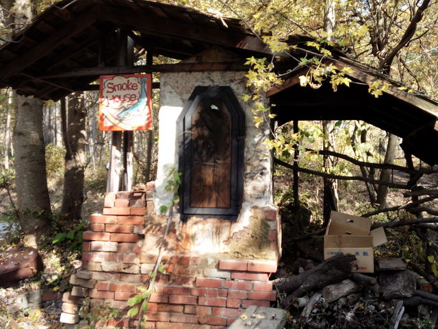 ���芴���ځI_�J�i�f�B�A���t�@�[��