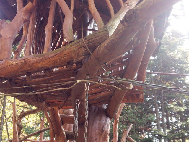 �|�p��i�V��I_�J�i�f�B�A���t�@�[��