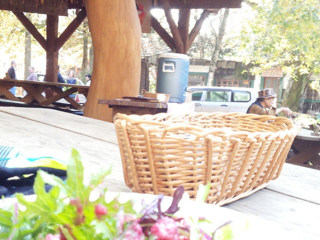 �����`�̃T���_��_�J�i�f�B�A���t�@�[��