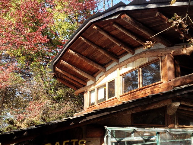 ��肩���H���܋C���H_�J�i�f�B�A���t�@�[��