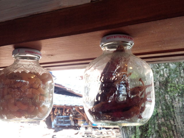 ����Ȏg�����f�G��_�J�i�f�B�A���t�@�[��