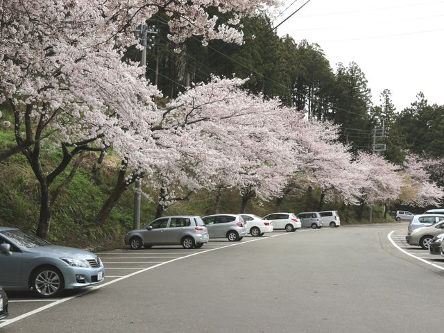 �r�W�^�[�T�[�r�X�Z���^�[�O�̒��ԏ�A�������J�ł�_���s�����r�W�^�[�T�[�r�X�Z���^�[