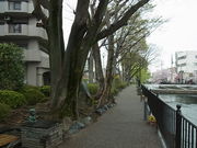 |[񂳂̍L͔ȗΒn̓eʐ^1