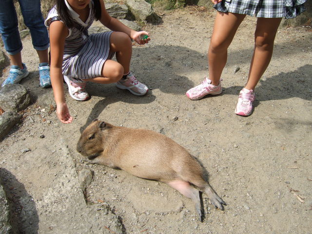 ����o�C�I�p�[�N