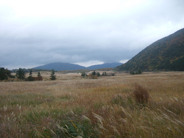 �ѓc�����i�啪����d���j