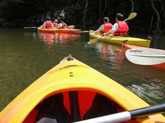 `̃}O[uJk[c[Oւ̓eʐ^1