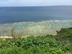 gݐؐ墊C̗Vя@Ȃ䂭̎ʐ^1