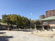 Sakamoto119̐_Ђ̓eʐ^3