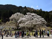 pxk11416̒Wn iJWnj̓eʐ^1