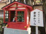 Sakamoto119̈顉@ij̓eʐ^7