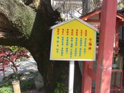 Sakamoto119̈顉@ij̓eʐ^9